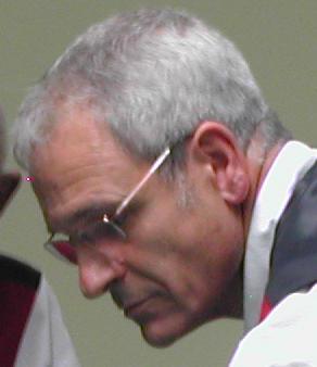 fernandes_2008